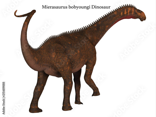 Mierasaurus Dinosaur Tail with Font - Mierasaurus was a herbivorous sauropod dinosaur that lived in Utah, USA during the Cretaceous Period. © Catmando