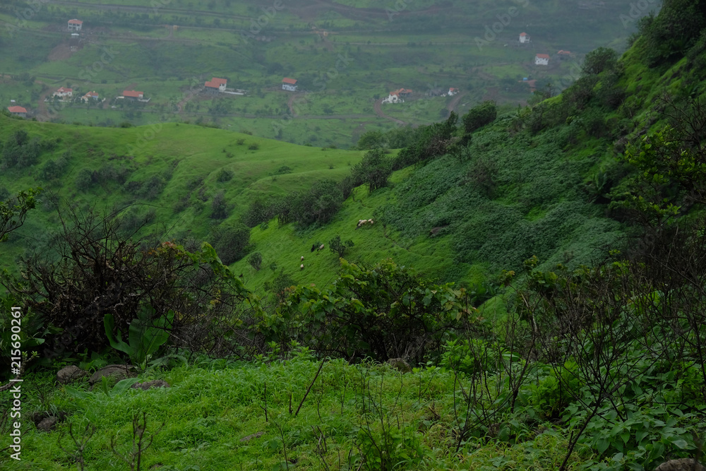 lush green landscape of mountain and hills in monsoon season, Purandar, Maharashtra, India