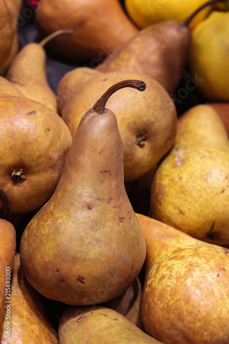 Beautiful delicious golden pears in a pile with one standing up - selective focus