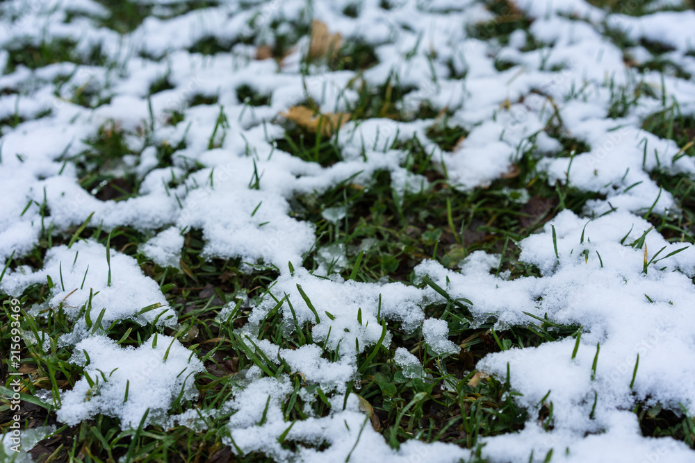 green meadow in park covered in snow green meadow in park covered in snow