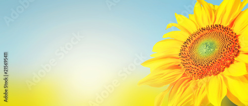 Fototapeta Naklejka Na Ścianę i Meble -  Wunderschöne Sonnenblume