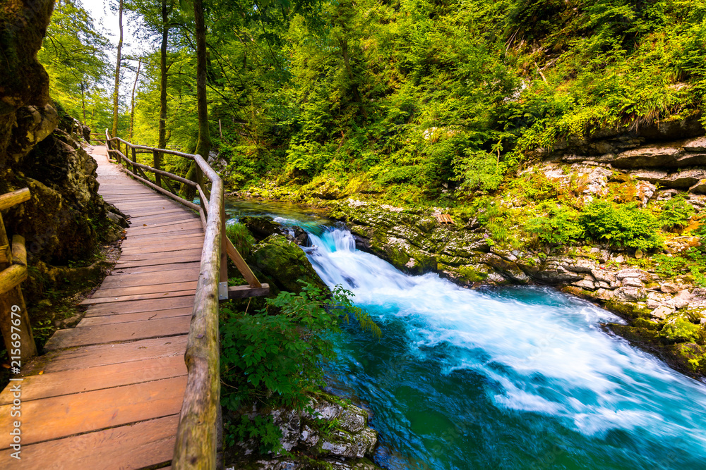 Vintgar gorge, Slovenia. River near the Bled lake with wooden tourist paths, bridges above river and waterfalls. Hiking in the Triglav national park. Fresh nature, blue water in the forest. Wild trees
