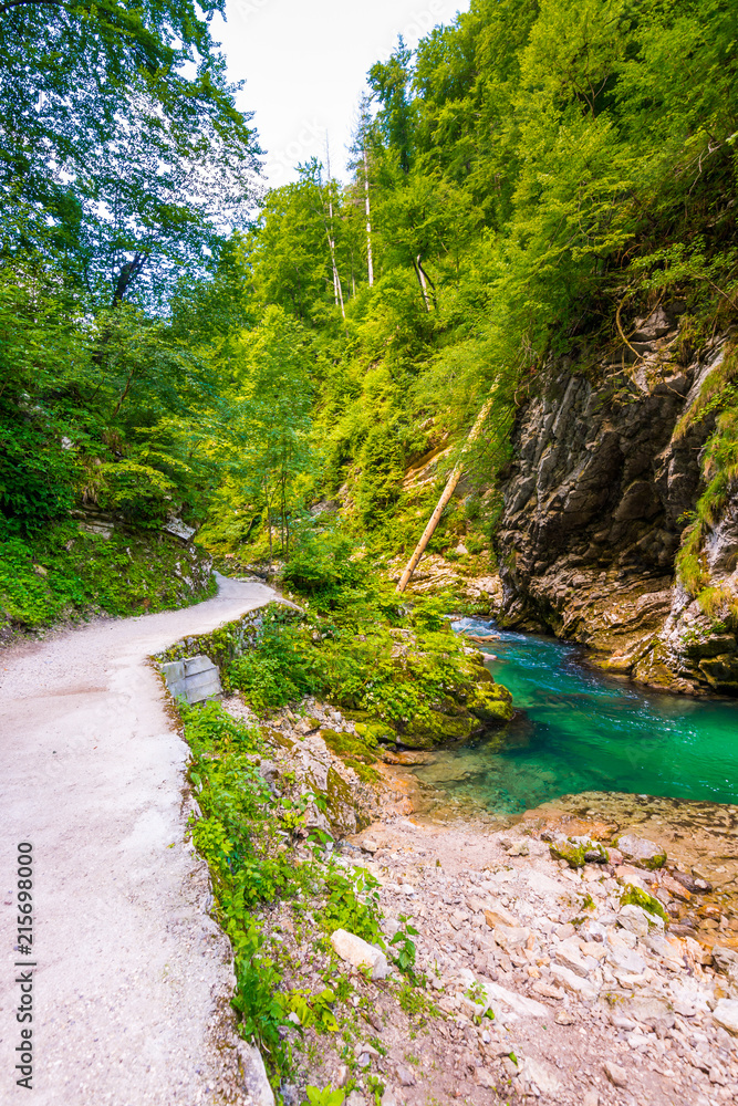 Vintgar gorge, Slovenia. River near the Bled lake with wooden tourist paths, bridges above river and waterfalls. Hiking in the Triglav national park. Fresh nature, blue water in the forest. Wild trees Vintgar gorge, Slovenia. River near the Bled lake with wooden tourist paths, bridges above river and waterfalls. Hiking in the Triglav national park. Fresh nature, blue water in the forest. Wild trees