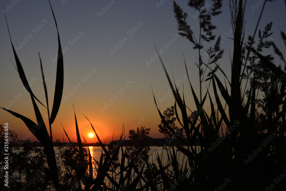 summer dawn on the lake