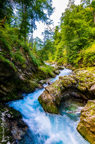 Vintgar gorge  Slovenia. River near the Bled lake with wooden tourist paths  bridges above river and waterfalls. Hiking in the Triglav national park. Fresh nature  blue water in the forest. Wild trees