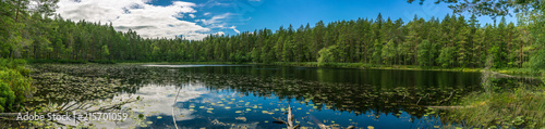 Panorama einer wunderschönen Seenlandschaft im schwedischen Smaland photo