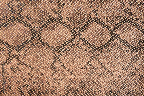 Wallpaper Mural Fragment of a snake leather as a background or texture. Torontodigital.ca