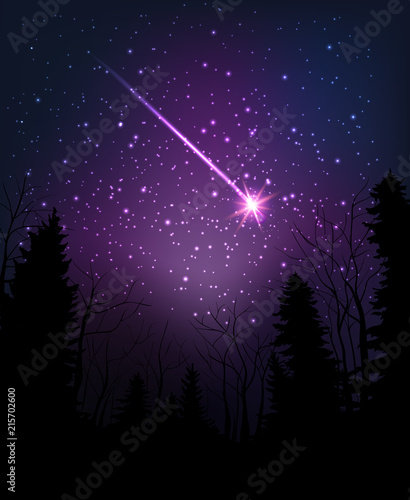 Star falling through dark night. Starry sky above dark forest.
