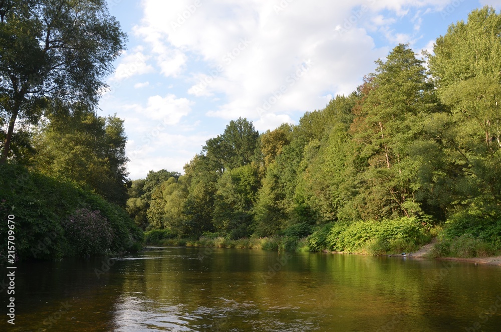 Naturlandschaft Fluss am Wald im Sommer