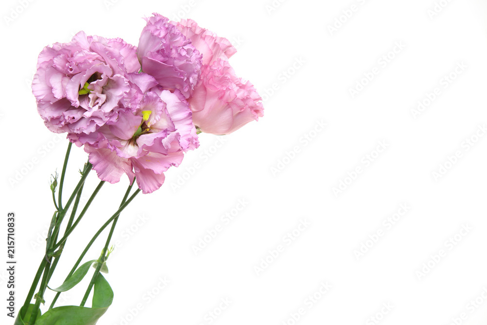 トルコキキョウの花束 トルコキキョウの花束