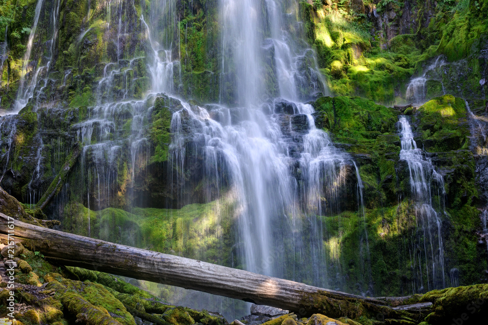 Obraz premium Cascading Water at Proxy Falls