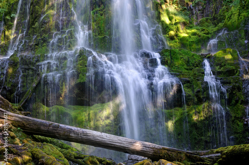 Cascading Water at Proxy Falls