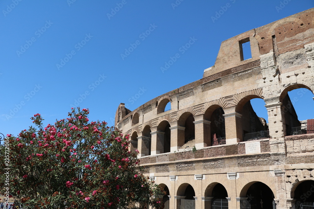 Fototapeta premium The Colosseum or Coliseum in Rome, Italy
