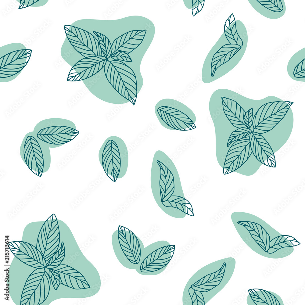 Mint leaves hand drawn vector seamless pattern. Peppermint, spicy herbs ...