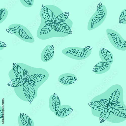 Mint leaves hand drawn vector seamless pattern. Peppermint, spicy herbs, kitchen texture, Doodle cooking ingredient for design package tea, wallpaper, cosmetics, textile, natural organ