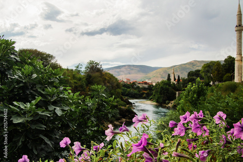 Fototapeta Naklejka Na Ścianę i Meble -  River behind flowers