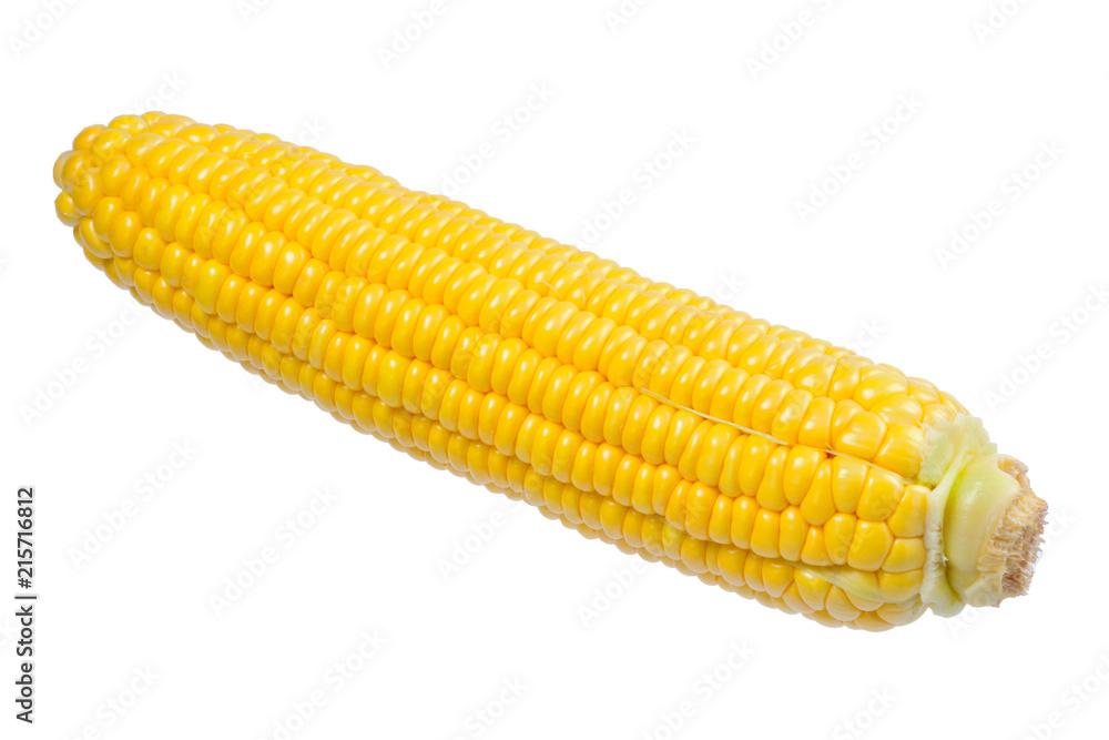 Yellow corn isolated on white background. Copyspace. Yellow corn isolated on white background. Copyspace.