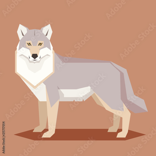 Flat geometric Wolf
