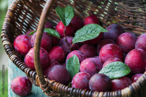 Fresh plums with leaves on rustic wooden table background.