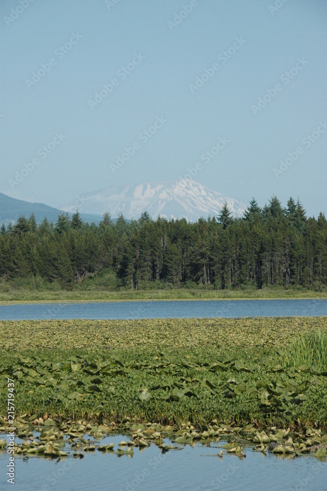 Mt. St. Helens, Washington