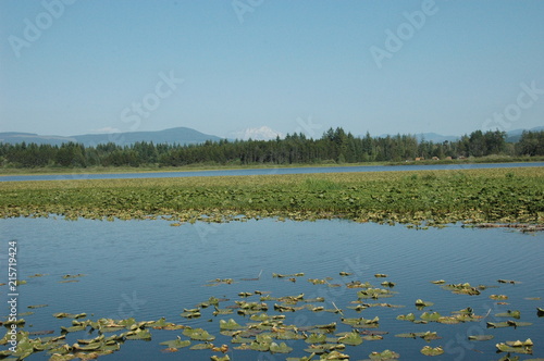 Lake with Mt. St. Helens in the background, Washington