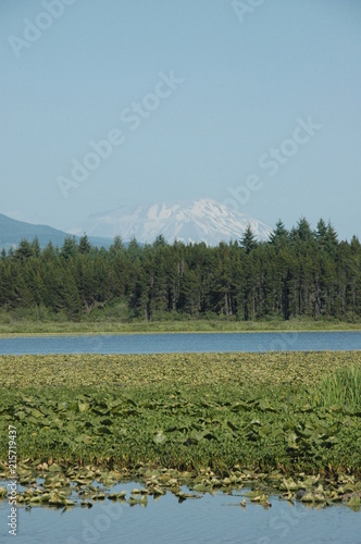 Mt. St. Helens, Washington