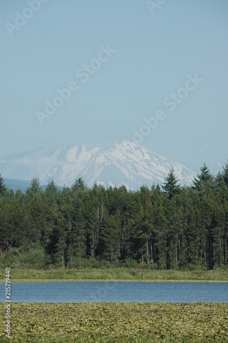 Mt. St. Helens, Washington