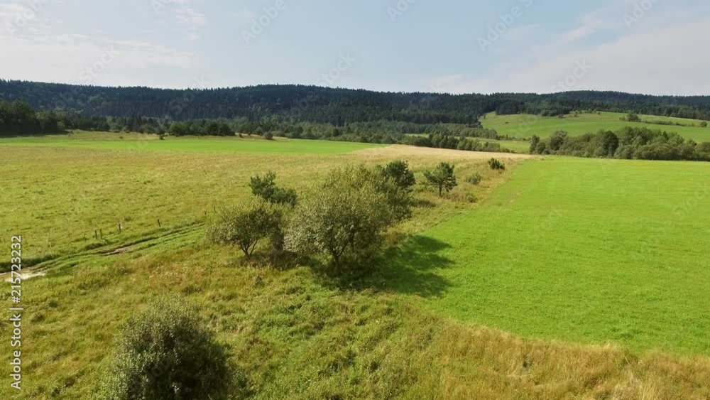 Flying over the beautiful sunny meadow and trees. Landscape aerial view Flying over the beautiful sunny meadow and trees. Landscape aerial view
