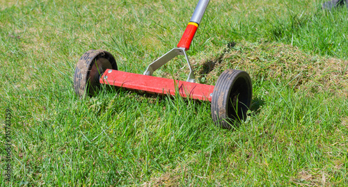 Cleaning up the grass with a rake. Aerating and scarifying the lawn in the garden. Remove old grass. Manual scarification of lawn with fan rakes and wheels. 
