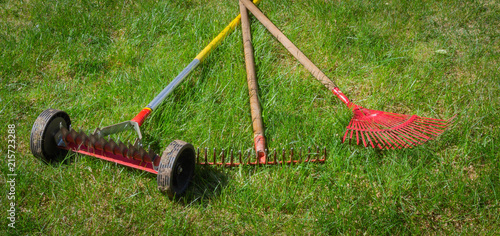 Red garden rakes and manual scarification on the grass in the summer garden. Spring care for lawn.