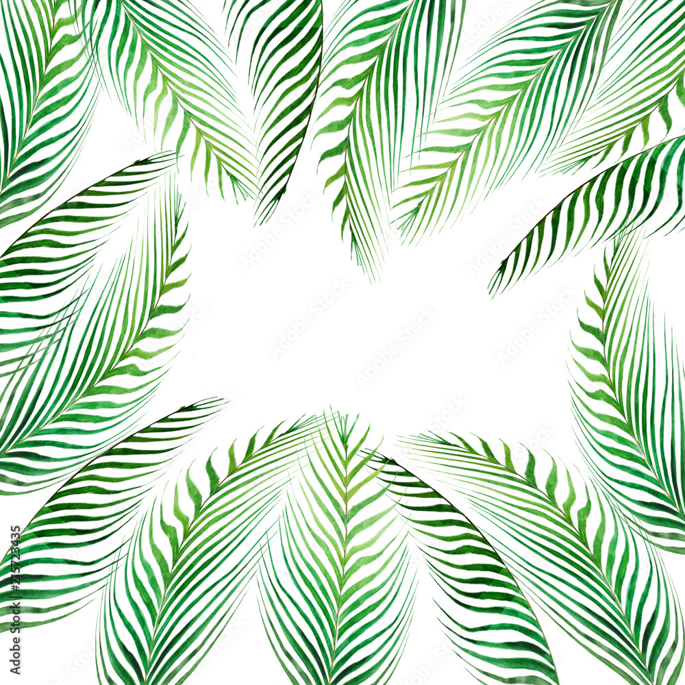 Watercolor frame tropical leaves and branches isolated on white background.