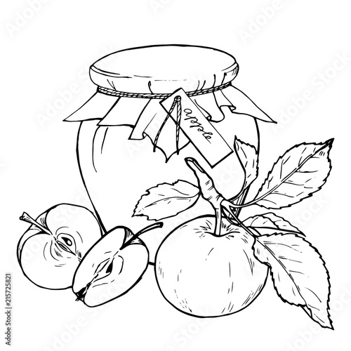 Apple jam in a jar and apples, home harvesting of apples, black and white vector illustration, painting