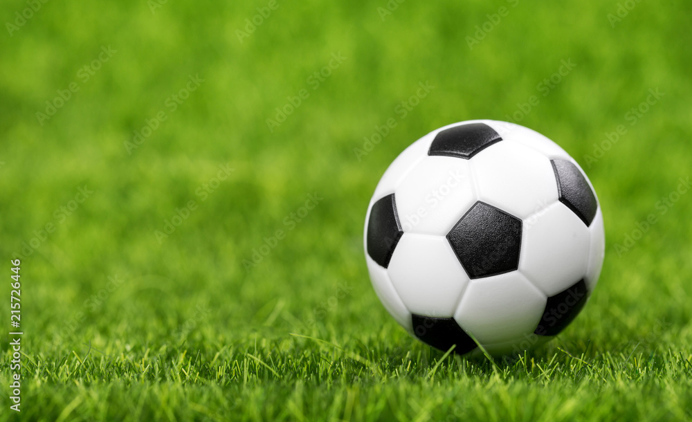 Soccer ball on green grass Soccer ball on green grass