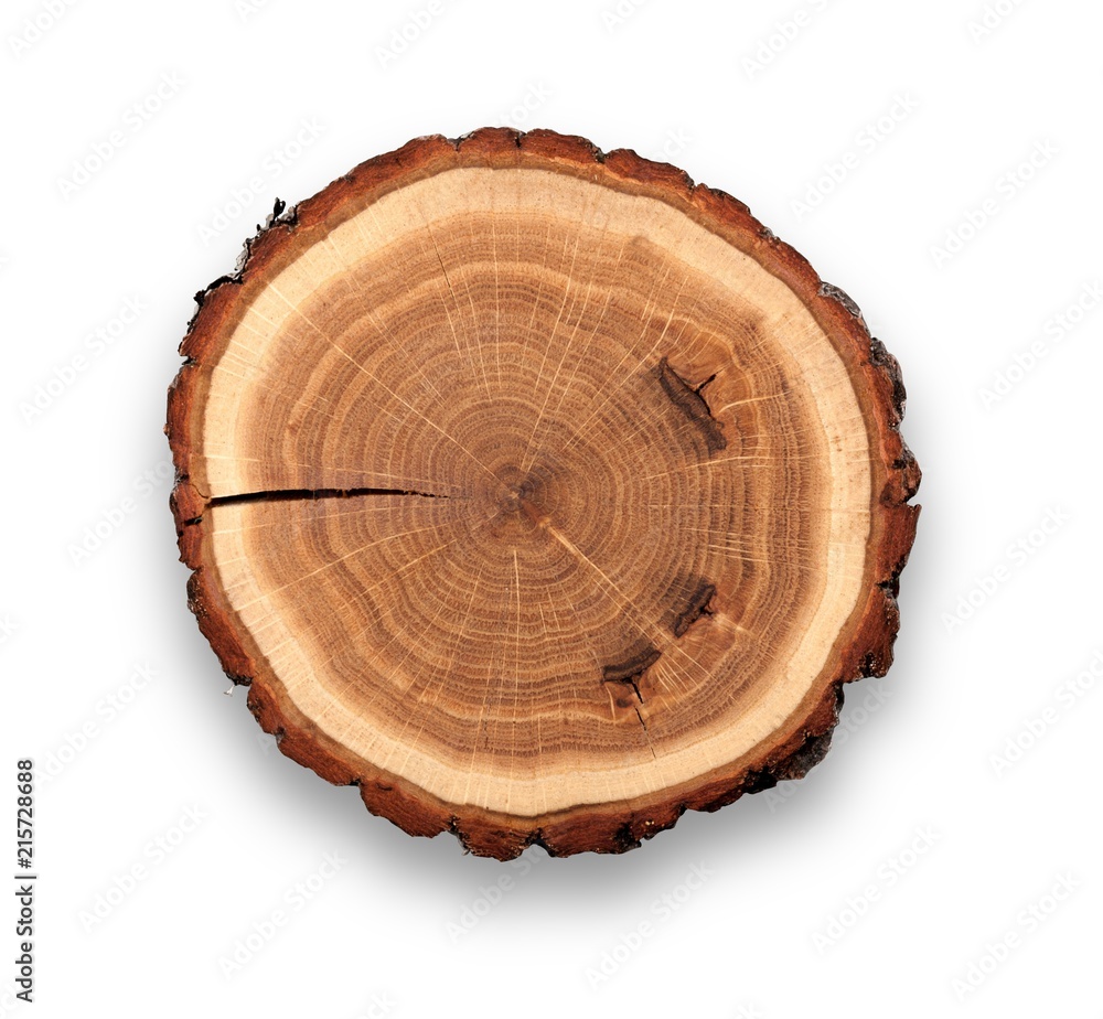 Log Cross Section Log Cross Section