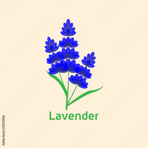 Fototapeta Naklejka Na Ścianę i Meble -  Lavender Logo icon vector template