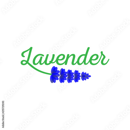 Fototapeta Naklejka Na Ścianę i Meble -  Lavender Logo icon vector template