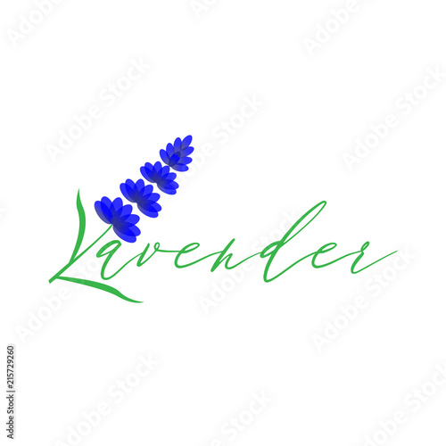 Fototapeta Naklejka Na Ścianę i Meble -  Lavender Logo icon vector template