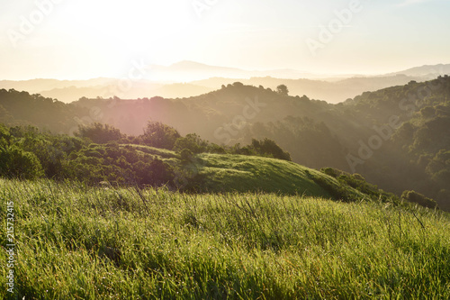 Sun warming dewy mountains in Berkeley California. © Carl