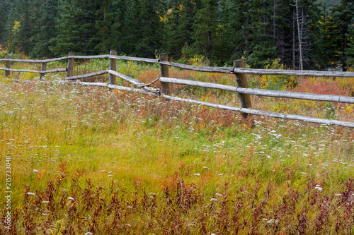 Cantwell, Alaska. Rustic cabin living in Cantwell. Autumn time.