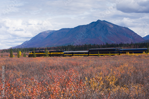 Canvas-taulu Broad Pass, Alaska