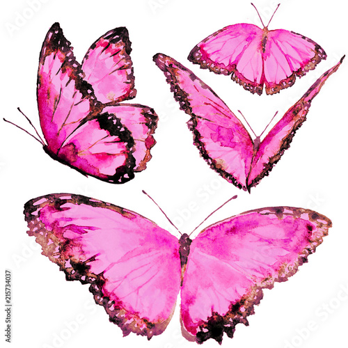 beautiful pink butterflies, set, watercolor, isolated on a white © aboard
