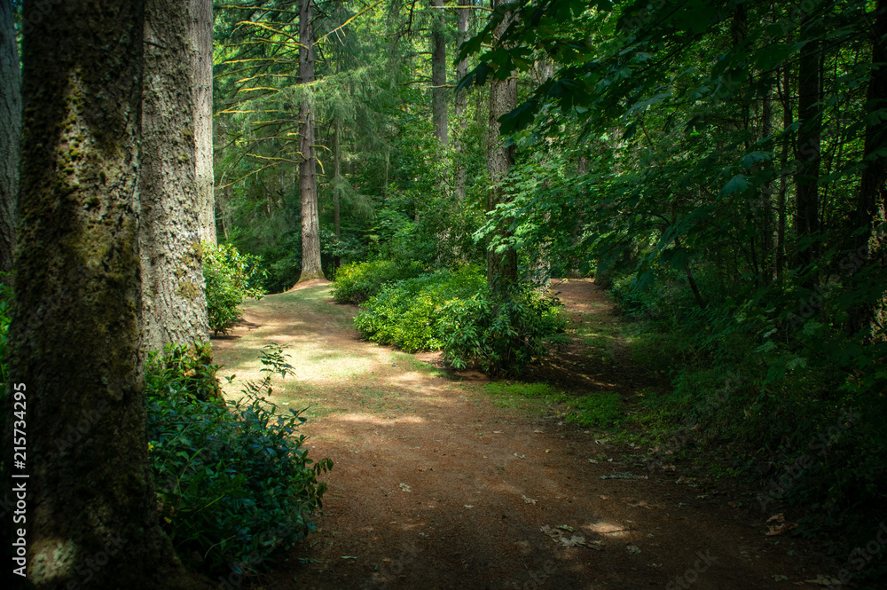 Fototapeta premium Oregon Trip