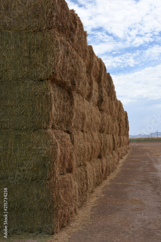 Haystack 12