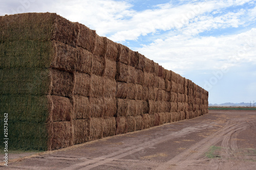 Haystack 11