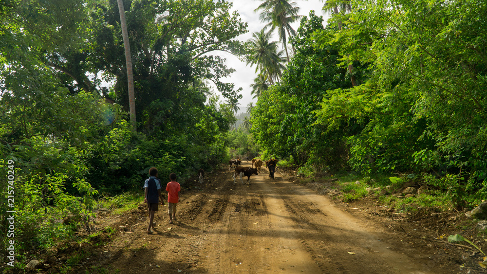 Fototapeta premium Two children walking on the main road leading around Pentecost island, Vanuatu