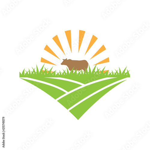 Cow logo design template