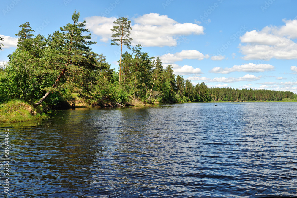   Сохранить Скачать изображение для предпросмотра Fishing for pike, fishing at the Rybinsk reservoir