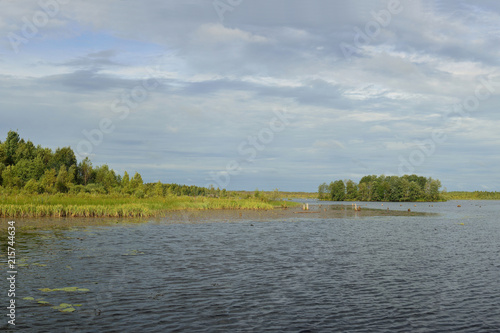   Сохранить Скачать изображение для предпросмотра Fishing for pike, fishing at the Rybinsk reservoir