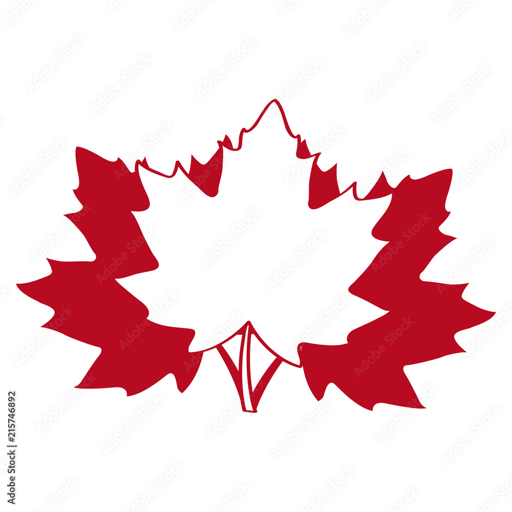 Isolated textured maple tree leaf Isolated textured maple tree leaf