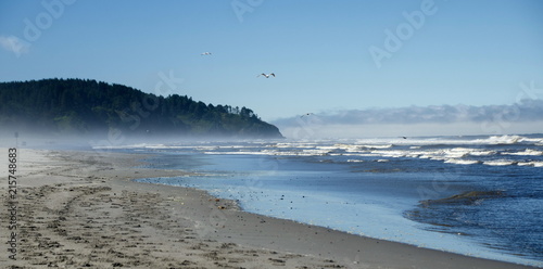 Фотография Beach between North Head Lighthouse and Seaview beach approach